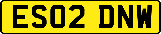 ES02DNW