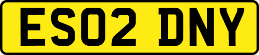 ES02DNY