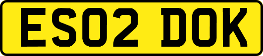 ES02DOK