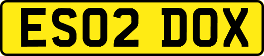 ES02DOX