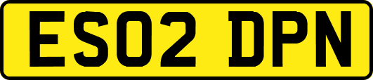 ES02DPN