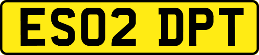 ES02DPT
