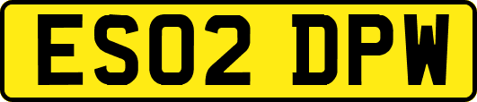 ES02DPW