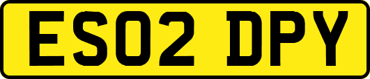 ES02DPY