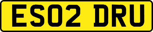 ES02DRU
