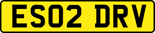 ES02DRV