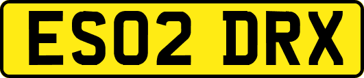 ES02DRX