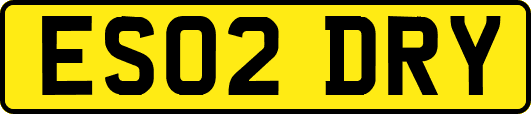 ES02DRY
