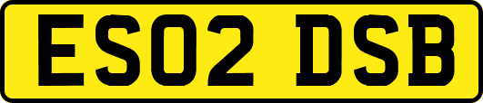 ES02DSB