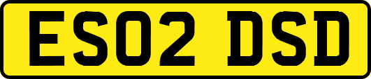 ES02DSD