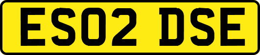 ES02DSE