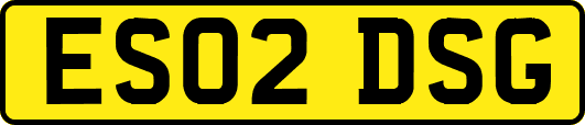 ES02DSG