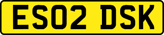 ES02DSK