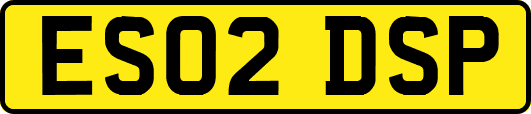 ES02DSP