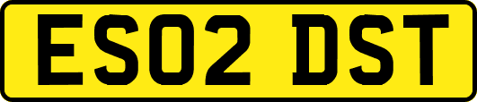 ES02DST