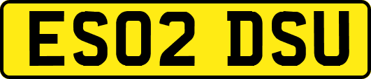 ES02DSU