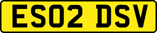 ES02DSV