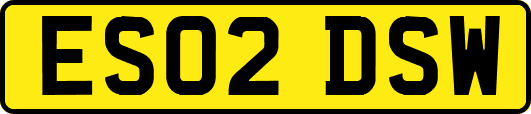 ES02DSW