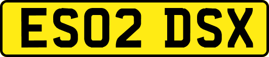 ES02DSX