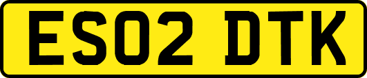 ES02DTK