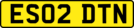ES02DTN