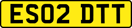ES02DTT