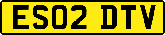ES02DTV