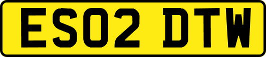 ES02DTW