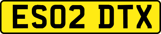 ES02DTX