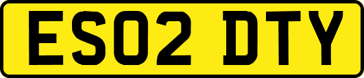 ES02DTY