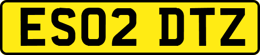 ES02DTZ