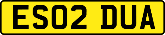 ES02DUA