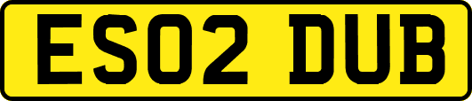 ES02DUB