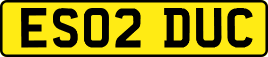 ES02DUC
