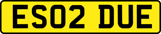 ES02DUE