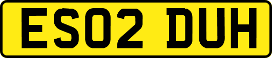 ES02DUH
