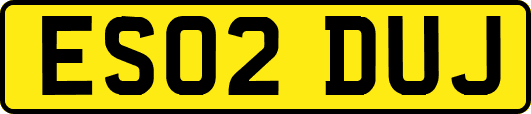 ES02DUJ