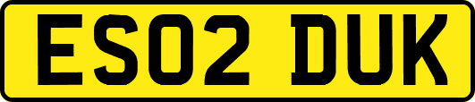 ES02DUK