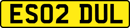 ES02DUL