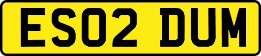 ES02DUM