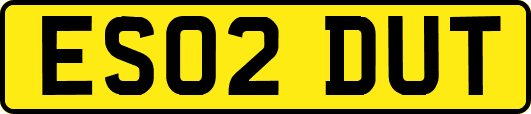 ES02DUT