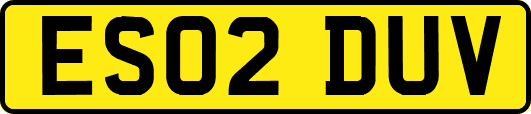 ES02DUV