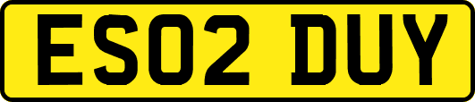 ES02DUY