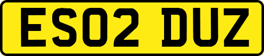 ES02DUZ