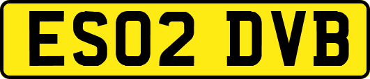 ES02DVB