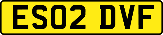 ES02DVF