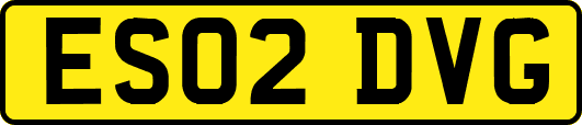 ES02DVG