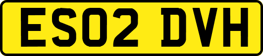 ES02DVH