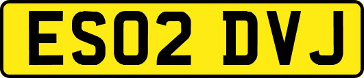 ES02DVJ