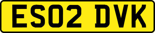 ES02DVK